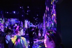 DSC 0871